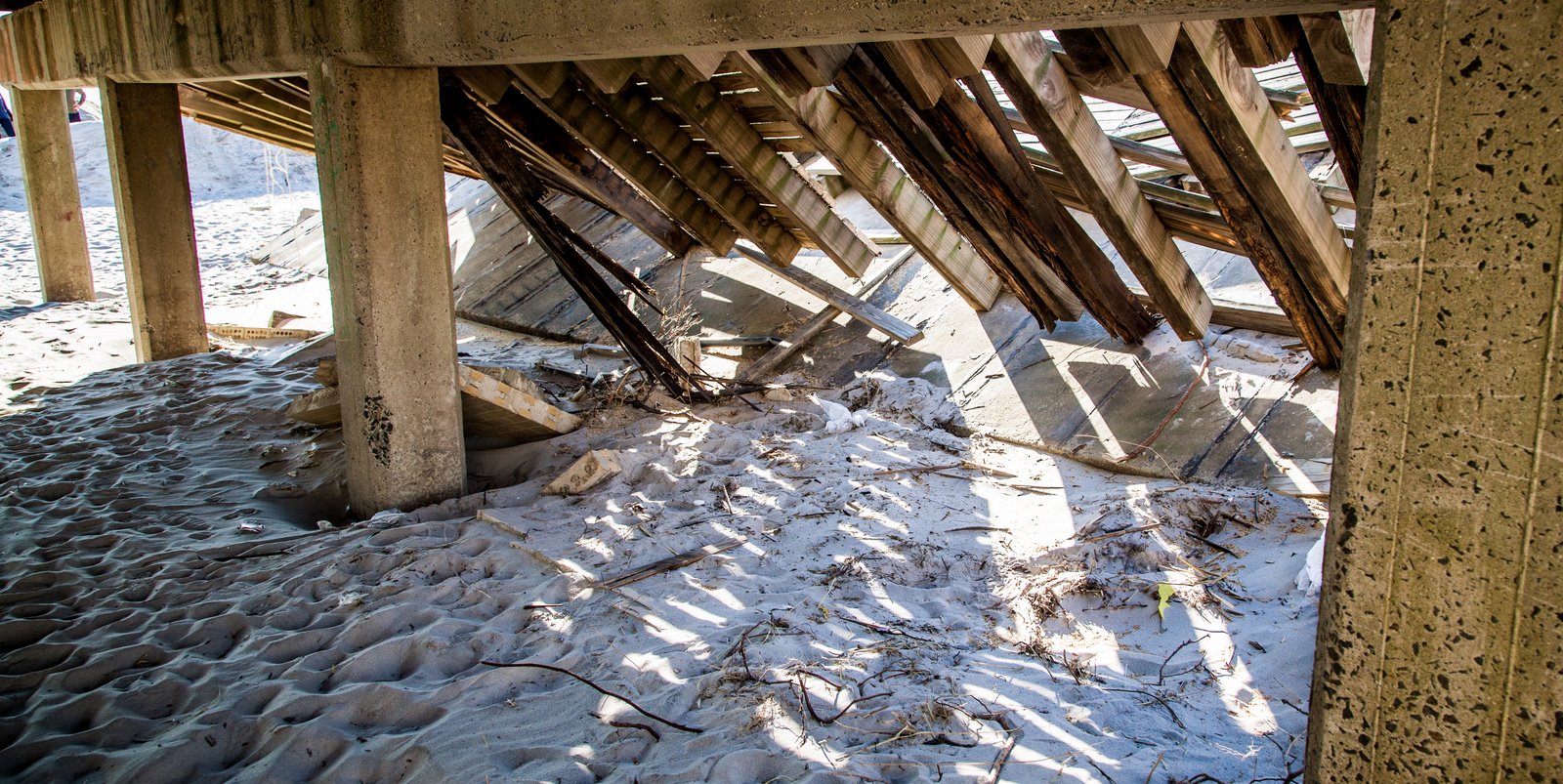 art-of-sandy-mo-long beach.jpg